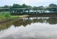 Đất rộng mặt tiền Bà Điểm Hóc Môn siêu tiềm năng... Bán đất tại Bà Điểm, Hồ Chí Minh 03