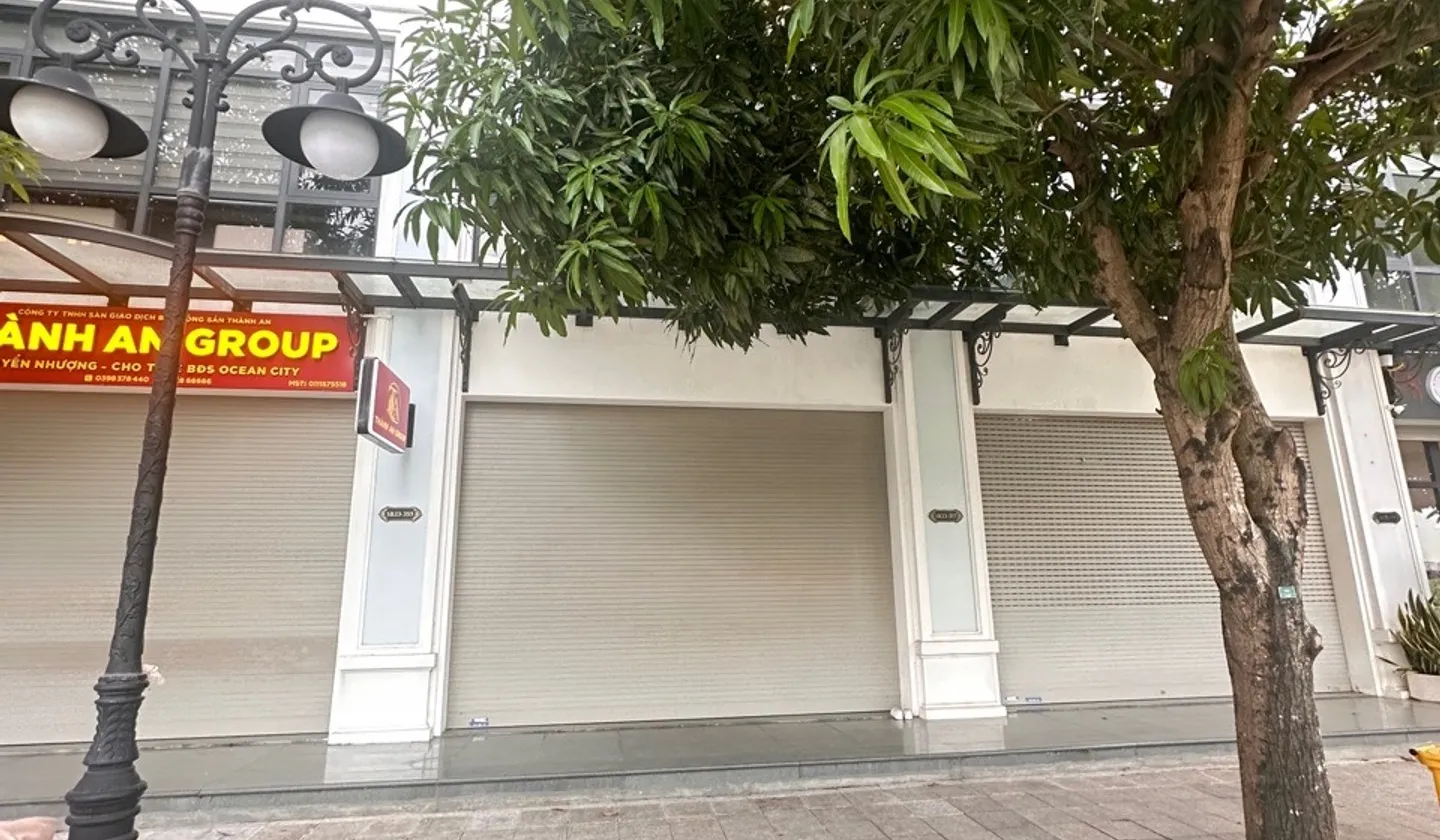 Biệt Thự Shophouse Đắc Địa gần TTTM Vinhomes Gia Lâm, dòng tiền tốt... Bán nhà mặt phố tại Gia Lâm, Hà Nội 01