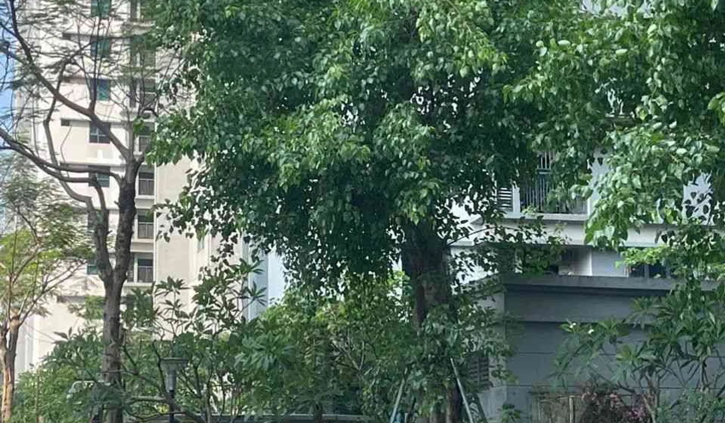 Căn hộ cao cấp gần phố Hồ Tùng Mậu giá hợp lý, thu nhập ổn định... Bán căn hộ chung cư tại Phú Diễn, Hà Nội 01
