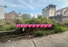 Lô đất siêu tiềm năng tại Sóc Sơn, Hà Nội chỉ 3.5 tỷ... Bán đất tại Sóc Sơn, Hà Nội 06