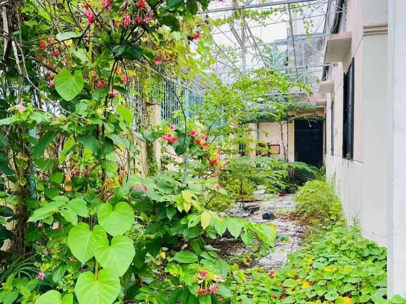 182m _ nhà sân vườn _ lô góc _ hẻm xe tải... Bán nhà riêng tại An Phú Đông, Hồ Chí Minh 01