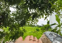 THÔN ĐÔNG MAI - LẠC ĐẠO - HƯNG YÊN... Bán đất tại Như Quỳnh, Hưng Yên 01