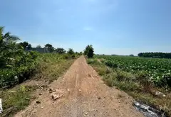 Bán đất 2000m2 mặt tiền kênh xã Lê Minh Xuân, Bình Chánh... Bán đất tại Bình Lợi, Hồ Chí Minh 03