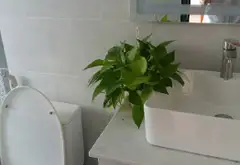 Cơ hội vàng sở hữu biệt thự Huỳnh Tấn Phát chỉ 8 tỷ, full nội thất mới đẹp... Bán nhà riêng tại Nhà Bè, Hồ Chí Minh 07