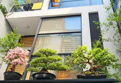 11 tỷ, Bán nhà phố Nguyễn Văn Cừ, 5 tầng, ô tô thoải mái, 52m2... Bán nhà riêng tại Long Biên, Hà Nội 02