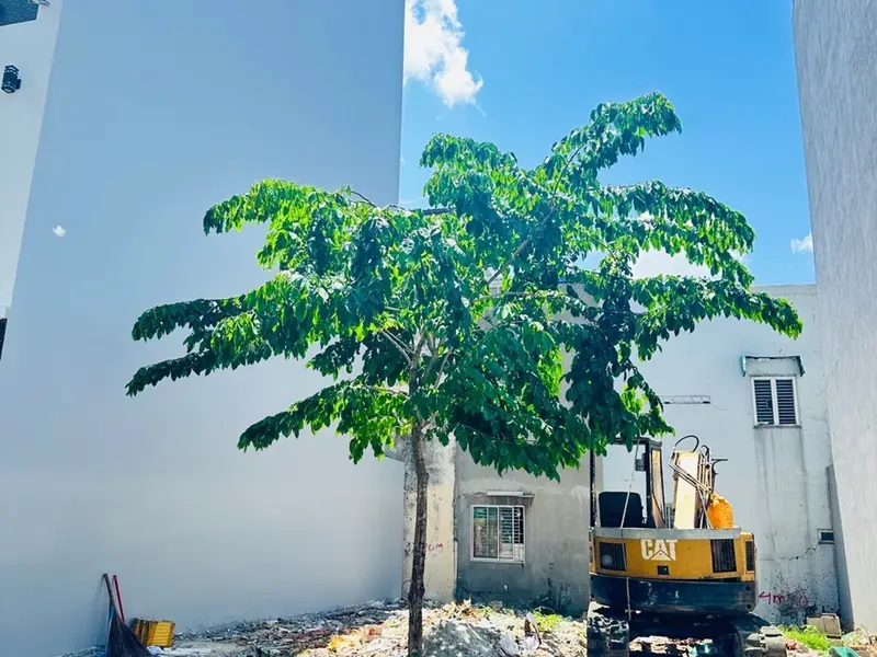 Cơ hội hiếm có sở hữu nền đất 50m2 vị trí vàng tại Nguyễn Ảnh Thủ... Bán đất tại Trung Mỹ Tây, Hồ Chí Minh 01