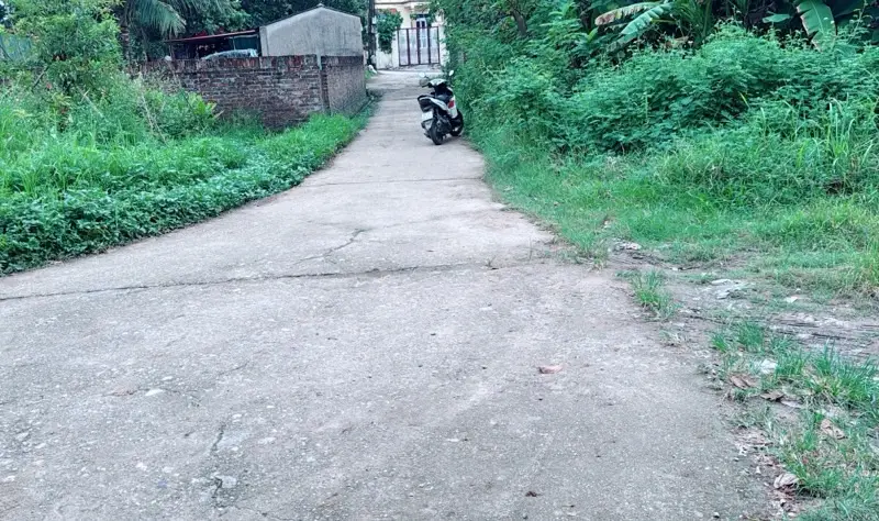 Cơ Hội Vàng Đầu Tư Đất Đẹp Tại Sóc Sơn!... Bán đất tại Sóc Sơn, Hà Nội 01