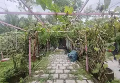 Nhà vườn siêu rộng tại Long Thới, Nhà Bè không gian yên tĩnh có sân vườn hồ cá coi... Bán nhà riêng tại Hiệp Phước, Hồ Chí Minh 02