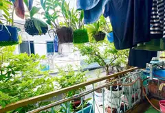 Bán nhà riêng 2 tầng tại Bình Hưng Hòa A, Bình Tân, diện tích 45m², giá 4.35 tỷ... Bán nhà riêng tại Bình Hưng Hòa, Hồ Chí Minh 06
