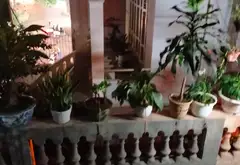 Siêu phẩm nhà mặt phố góc ngã tư, kinh doanh đỉnh, hiếm có khó tìm... Bán nhà mặt phố tại Bạch Mai, Hà Nội 04