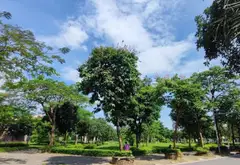 Biệt thự lô góc đẳng cấp với tầm nhìn công viên tại khu Đặng Xá - GIA LÂM... Bán biệt thự, liền kề tại Thuận An, Hà Nội 06