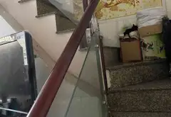 Nhà mặt tiền gần Võ Văn Kiệt, Quận 6, 53m2, 2 tầng. Giá 10.5 tỷ... Bán nhà mặt phố tại Bình Tiên, Hồ Chí Minh 06