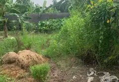 Lô đất vuông vắn mặt tiền rộng tại thôn Quán Trang, An Lão, Hải Phòng... Bán đất tại An Lão, Hải Phòng 06