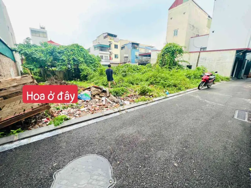 💥💥 LƯƠNG QUY ( XUÂN NỘN) - THƯ LÂM - HÀ NỘI.
👉 Diện tích : gần 70m, full thổ cư, mặt tiền rộng... Bán đất tại Thư Lâm, Hà Nội 01