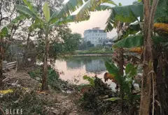 Đất Vàng Nhà Máy Z117 Vị Trí Đắc Địa, Giá Tốt... Bán đất tại Sóc Sơn, Hà Nội 08