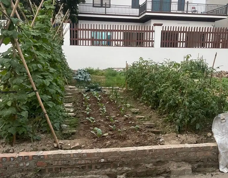 Đất đẹp ô tô đỗ cửa, ngõ rộng thông thoáng ở Tam Á, Thuận Thành... Bán đất tại Thuận Thành, Bắc Ninh 01