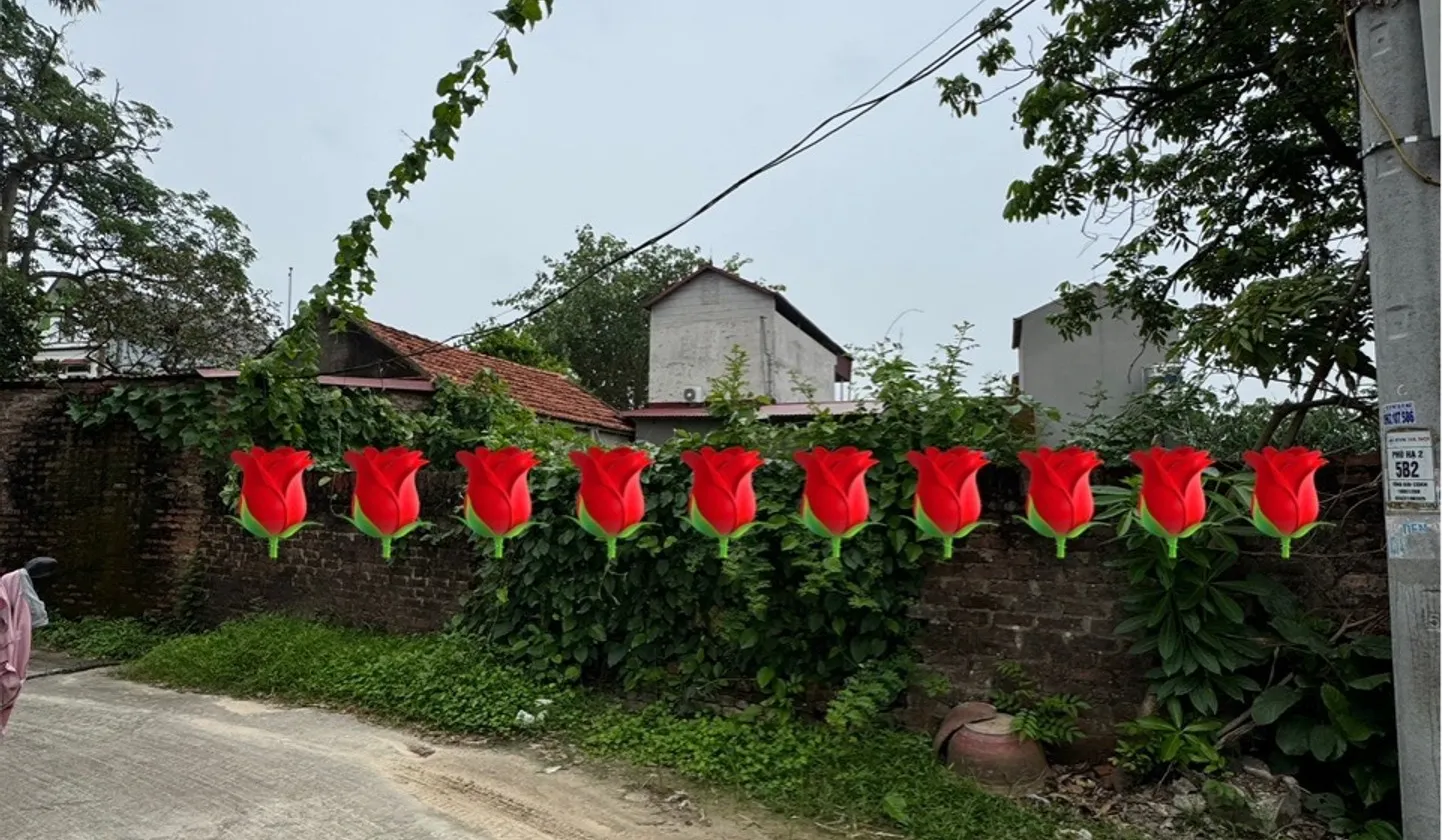 Cơ hội sở hữu đất thổ cư 2 mặt ngõ tại Kim Anh, Sóc Sơn, Hà Nội... Bán đất tại Kim Anh, Hà Nội 01