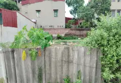 Bán đất 100m² hướng Bắc mặt tiền 5.8m tại Ném Sơn với giá tốt... Bán đất tại Hạp Lĩnh, Bắc Ninh 04