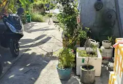 🏡 BÁN ĐẤT Q12 - XE TẢI ĐẬU ĐẤT - DT KHỦNG - GIÁ SIÊU RẺ NHỈNH 2 TỶ... Bán đất tại Thới An, Hồ Chí Minh 03