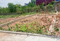 Bán đất 80m2 tại trung tâm Thường Tín, khu dân cư sầm uất... Bán đất tại Chương Dương, Hà Nội 02