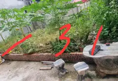 Lô đất hiếm trung tâm Đình Bảng, Từ Sơn... Bán đất tại Từ Sơn, Bắc Ninh 01