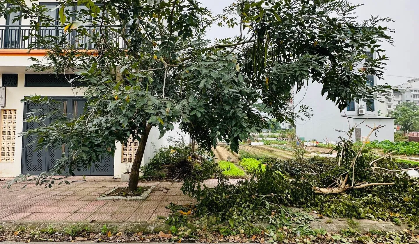 Bán đất phân lô khu đô thị Long Phương Trang Hạ, diện tích 110m², mặt tiền 5.5m... Bán đất tại Đồng Nguyên, Bắc Ninh 01