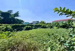 Đất Mặt Tiền Liên Tổ Siêu Lớn, Cơ Hội Đầu Tư Hiếm Có... Bán nhà mặt phố tại Bình Chánh, Hồ Chí Minh 05