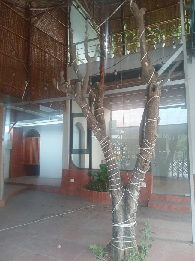 Bán nhà 4 tầng đường Trường Lưu, Quận 9, diện tích 52m2, nhỉnh 5 tỷ tại Hồ Chí Minh 01