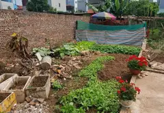 Bán đất thổ cư Phúc Lợi, mặt tiền 5m, diện tích 55.5 m², pháp lý cơ sở... Bán đất tại Long Biên, Hà Nội 01