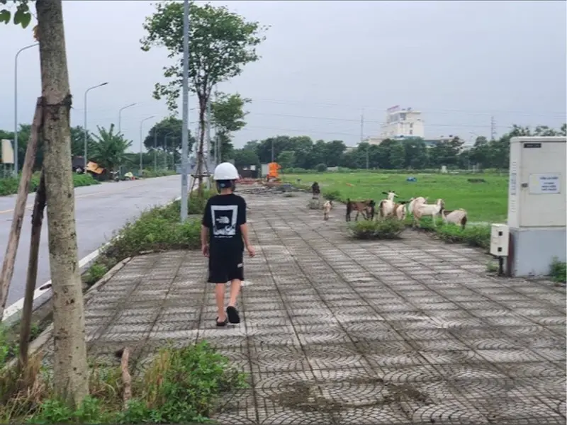Lô đất đẹp tại Mão Điền, Bắc Ninh - cơ hội lý tưởng cho nhà đầu tư... Bán đất tại Mão Điền, Bắc Ninh 01