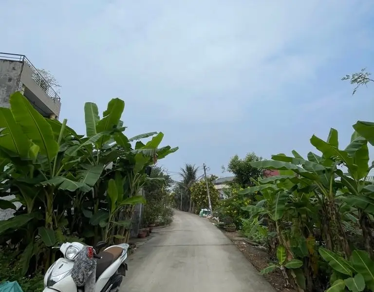 Cơ hội hiếm có sở hữu đất thổ cư vị trí đắc địa tại Vĩnh Lộc với giá tốt... Bán đất tại Tân Vĩnh Lộc, Hồ Chí Minh 01