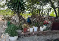 Bán đất thôn diện tích 43,9m², mặt tiền 4m, giá 4,25 tỷ đồng... Bán đất tại Đông Anh, Hà Nội 03