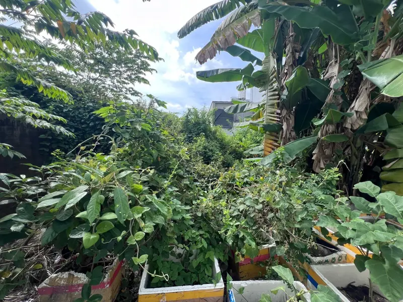 Bán đất 103m2, mặt tiền 6.8m tại phường Long Trường, Lã Xuân Oai... Bán đất tại Long Trường, Hồ Chí Minh 01