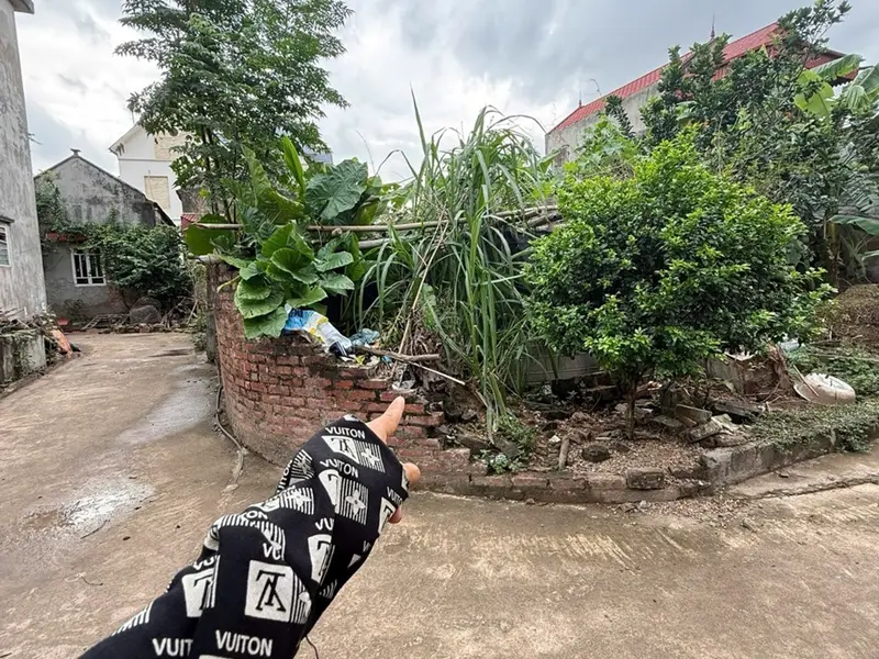 Cần bán gấp lô đất tại Tả Hà Hùng An Hiệp Cường Hưng Yên 100m² nằm cạnh con đường di sản đi HN... Bán đất tại Hiệp Cường, Hưng Yên 01
