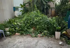 Bán đất ô tô vào đất, gần trường học tại Đông Dư... Bán đất tại Bát Tràng, Hà Nội 03