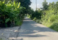 Đất nở hậu siêu đẹp tại Thái Mỹ, Củ Chi, giá sốc... Bán đất tại Thái Mỹ, Hồ Chí Minh 05