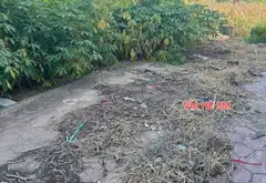 Bán đất phân lô mặt tiền 7m tại khu vực sầm uất, ô tô tránh, vỉa hè rộng... Bán đất tại Triệu Việt Vương, Hưng Yên 01