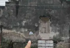 Cơ Hội Vàng Đầu Tư Đất Nền Ngay Gần Công Viên, Giá Chỉ 9 Tỷ... Bán đất tại Thư Lâm, Hà Nội 01