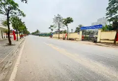 🌺ĐÓN ĐẦU DỰ ÁN VIN TAMXA - SẴN NHÀ 2 TẦNG CŨ - ĐƯỜNG THÔNG OTO VÀO NHÀ - SÁT TRƯỜNG MẦM NON... Bán đất tại Đông Anh, Hà Nội 01
