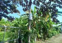 Đất nền 70m² mặt tiền 5m tại Hoàng Động, Hải Phòng, ngõ thông thuận tiện... Bán đất tại Thủy Nguyên, Hải Phòng 05
