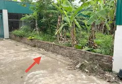 Đất đẹp giá hời gần Vin Cổ Loa, cơ hội đầu tư hiếm có... Bán đất tại Đông Anh, Hà Nội 03