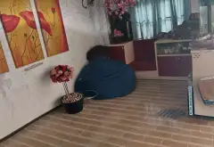 Nhà hẻm xe hơi, vị trí vàng Hồng Bàng... Bán nhà riêng tại Minh Phụng, Hồ Chí Minh 05