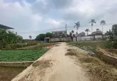 Bán đất thổ cư 47,7m² tại Quang Tiến Sóc Sơn, mặt tiền 5m, đường ô tô 3m... Bán đất tại Sóc Sơn, Hà Nội 05