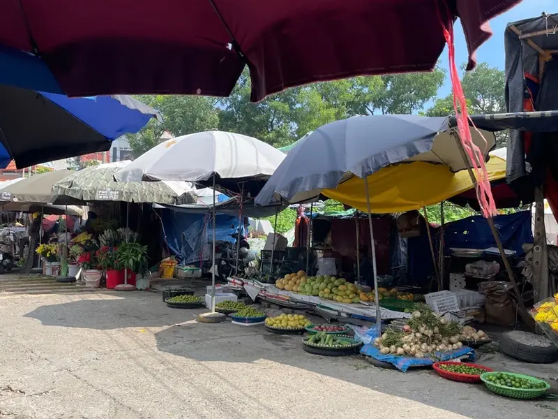 Chính chủ bán Đất mặt tiền chợ đấu mã Bắc Ninh... Bán đất tại Võ Cường, Bắc Ninh 01