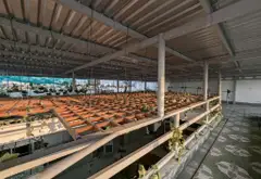 Nhà mặt tiền rộng, giá sốc chờ chủ mới tại Trần Văn Giàu... Bán nhà mặt phố tại Bình Lợi, Hồ Chí Minh 03