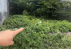 Bán đất mặt phố Nguyễn Ảnh Thủ, Hóc Môn diện tích 160m2, mặt tiền 8m... Bán nhà mặt phố tại Bà Điểm, Hồ Chí Minh 09