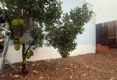 Bán 160m đất ngay chợ đầu mối Hóc Môn, 6.x tỷ... Bán nhà riêng tại Bà Điểm, Hồ Chí Minh 04