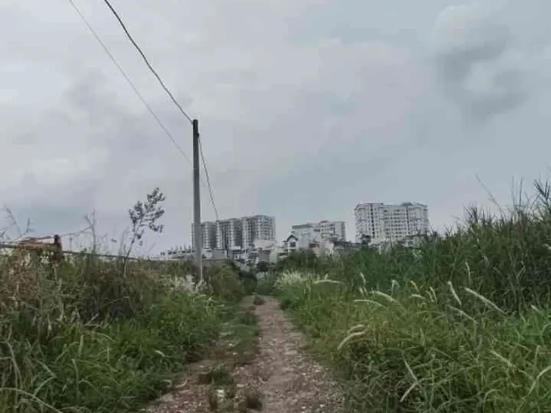 Cơ hội vàng sở hữu đất lô góc rộng 5m tại Gò Vấp với giá cực tốt... Bán đất tại An Hội Đông, Hồ Chí Minh 01