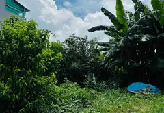 DIỆN TÍCH KHỦNG 250M² (5x50M) - ĐƯỜNG RỘNG 30M THẠNH XUÂN - GIÁ CHỈ 4 TỶ TL 🔥... Bán đất tại Thới An, Hồ Chí Minh 02