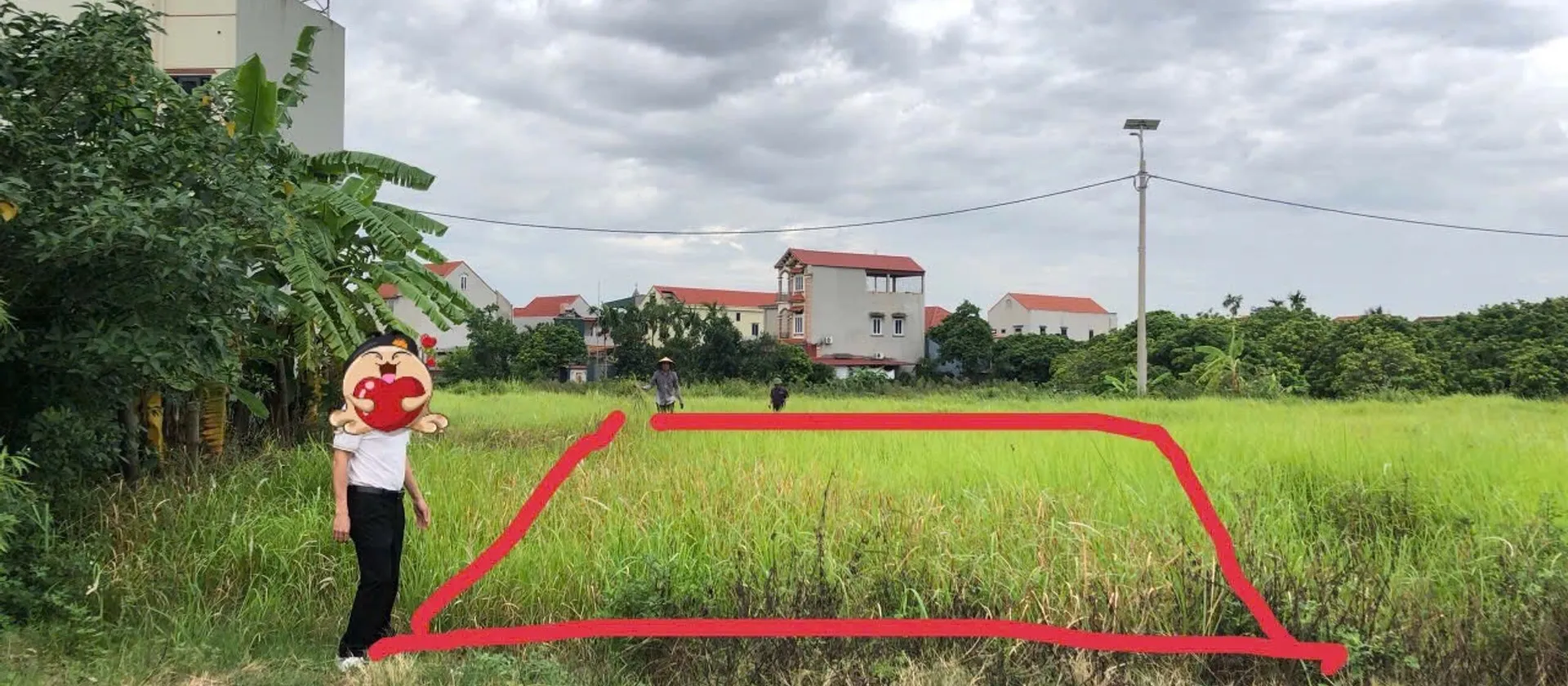 🔥 HÀNG HOT ĐẤU GIÁ VĨNH XÁ – 130M² – MT 6,5M – ĐƯỜNG 10M – HẠ TẦNG ĐỒNG BỘ – DỄ CHỐT 🔥... Bán đất tại Nghĩa Dân, Hưng Yên 01